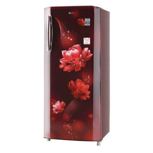 lg refrigerator single door